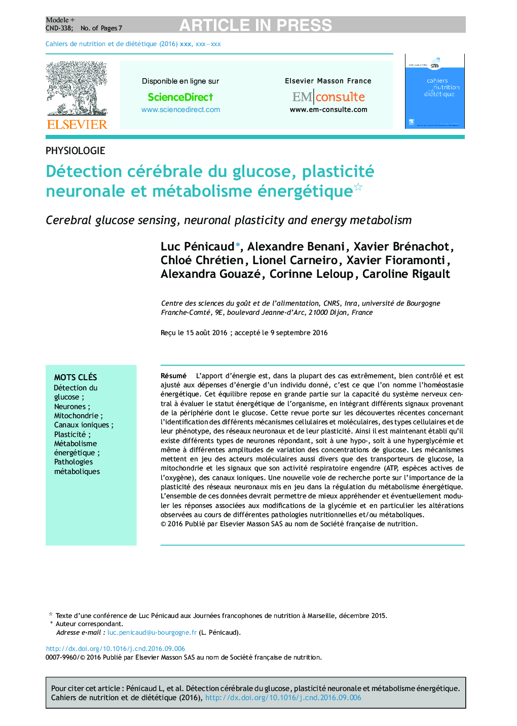 Détection cérébrale du glucose, plasticité neuronale et métabolisme énergétique