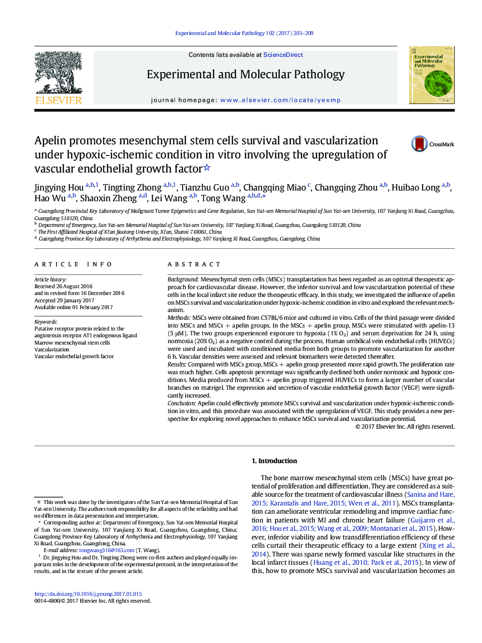 Apelin promotes mesenchymal stem cells survival and vascularization under hypoxic-ischemic condition in vitro involving the upregulation of vascular endothelial growth factor