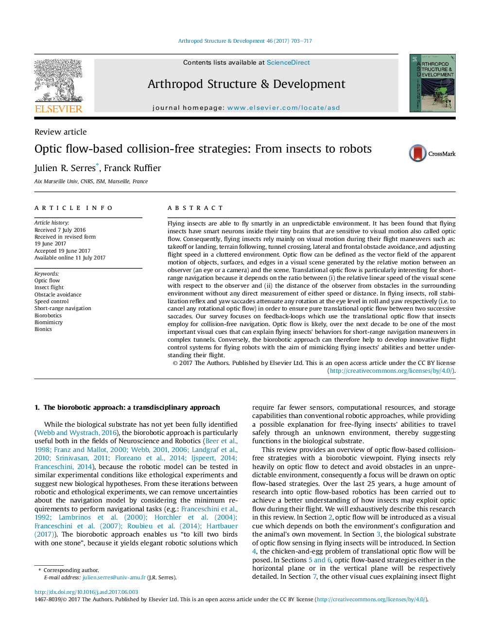 Optic flow-based collision-free strategies: From insects to robots