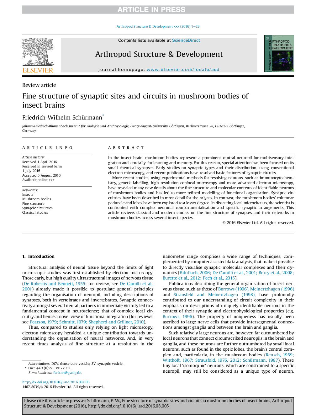 Fine structure of synaptic sites and circuits in mushroom bodies of insect brains