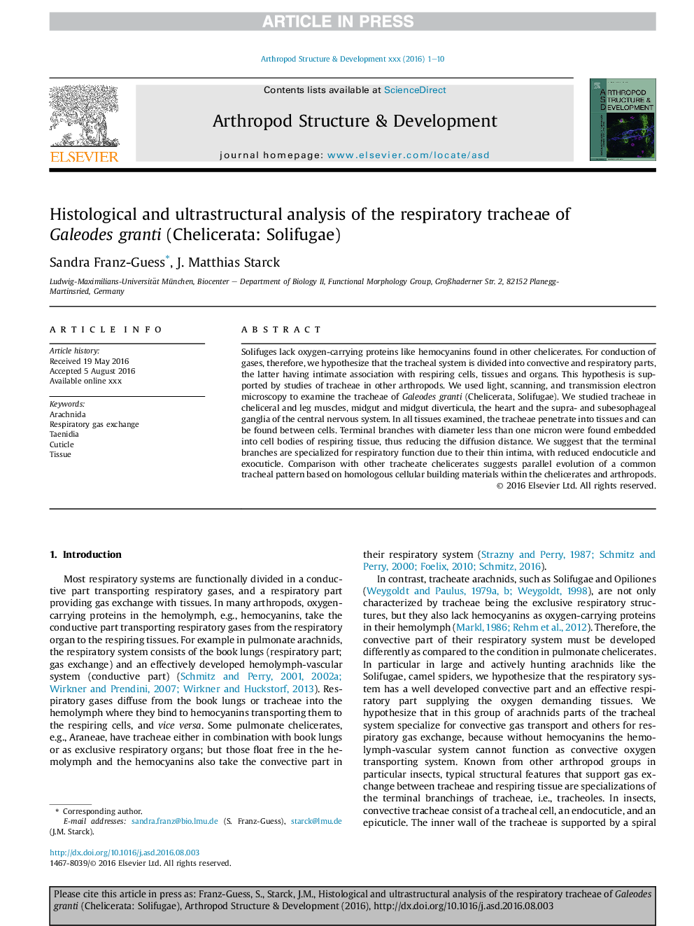 Histological and ultrastructural analysis of the respiratory tracheae of Galeodes granti (Chelicerata: Solifugae)