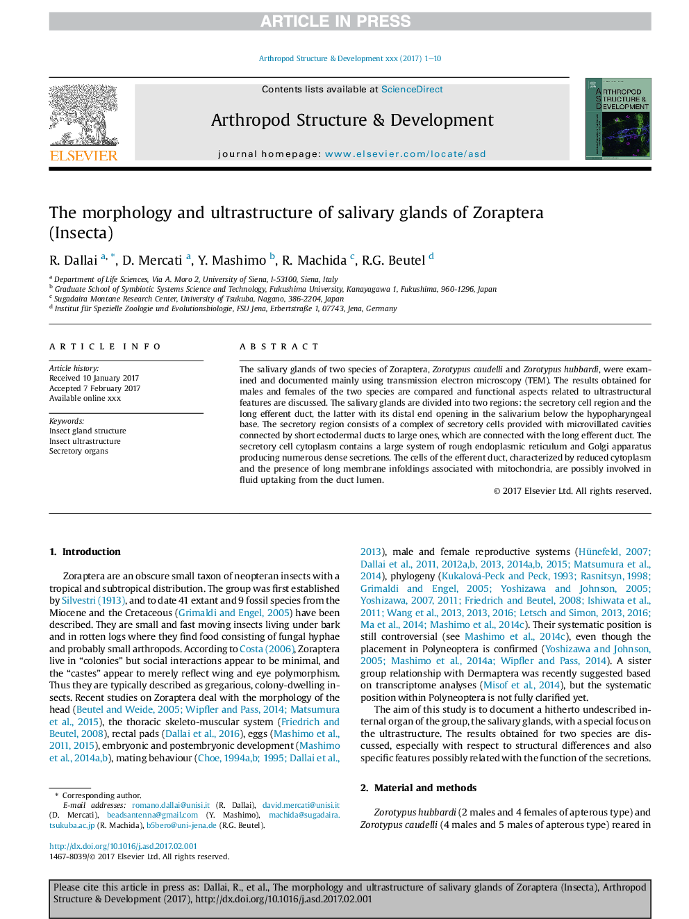 The morphology and ultrastructure of salivary glands of Zoraptera (Insecta)