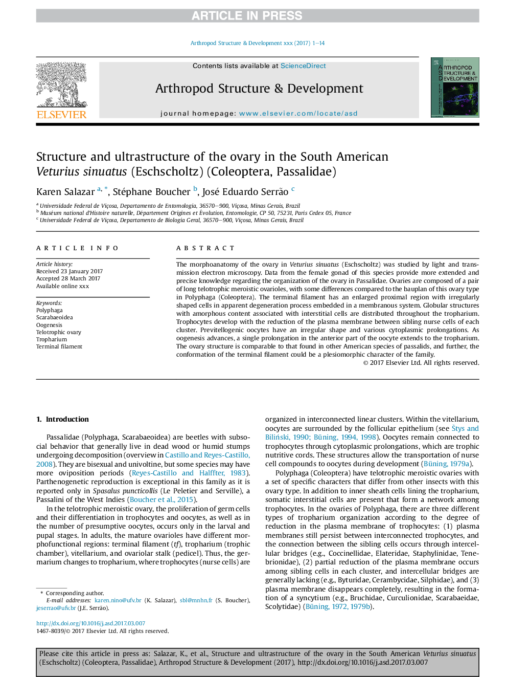 Structure and ultrastructure of the ovary in the South American Veturius sinuatus (Eschscholtz) (Coleoptera, Passalidae)