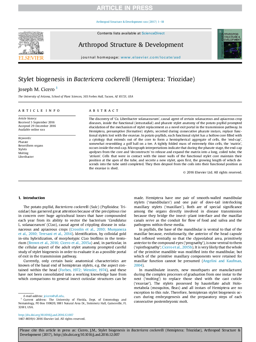 Stylet biogenesis in Bactericera cockerelli (Hemiptera: Triozidae)