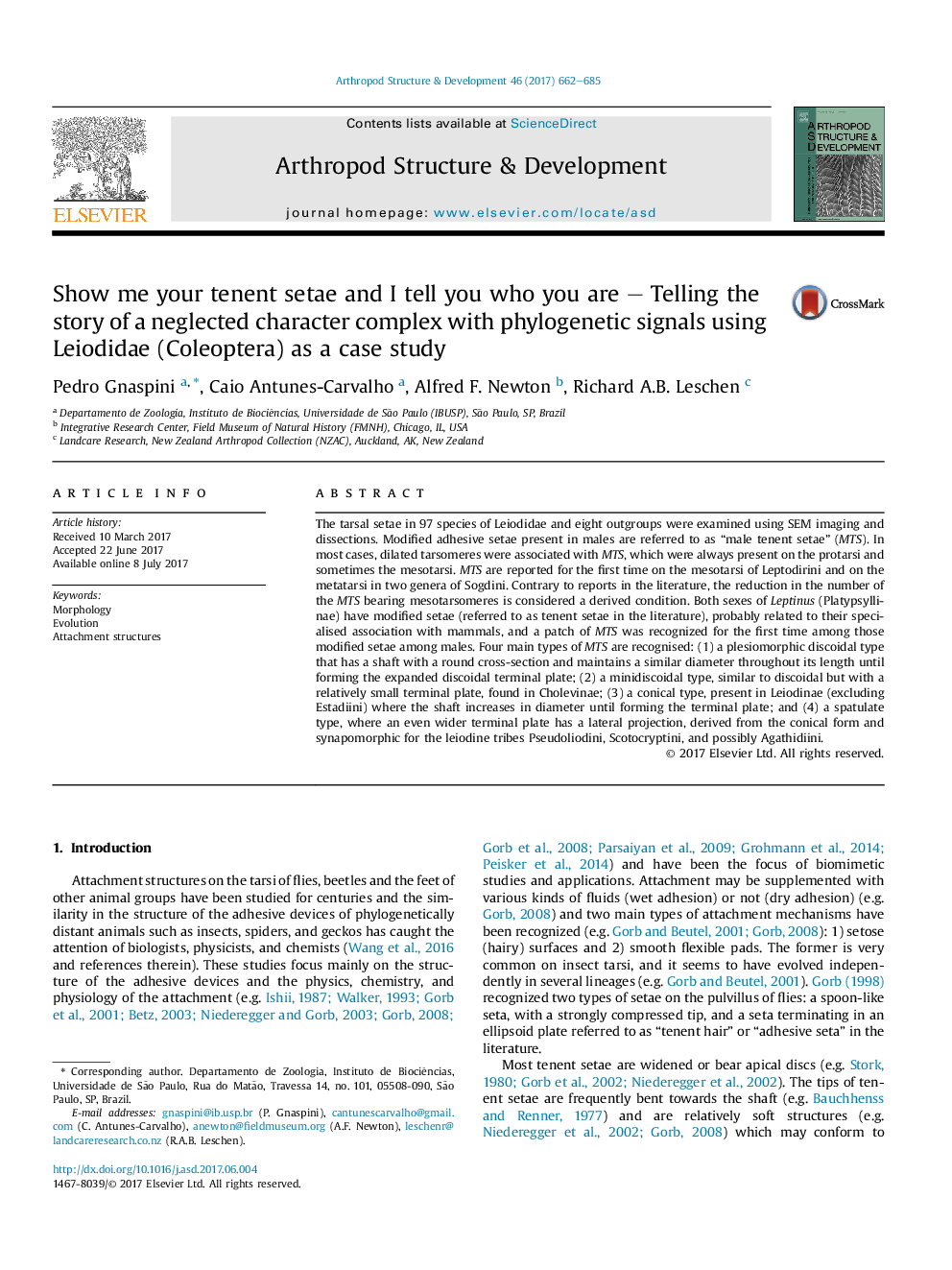 Show me your tenent setae and I tell you who you are - Telling the story of a neglected character complex with phylogenetic signals using Leiodidae (Coleoptera) as a case study