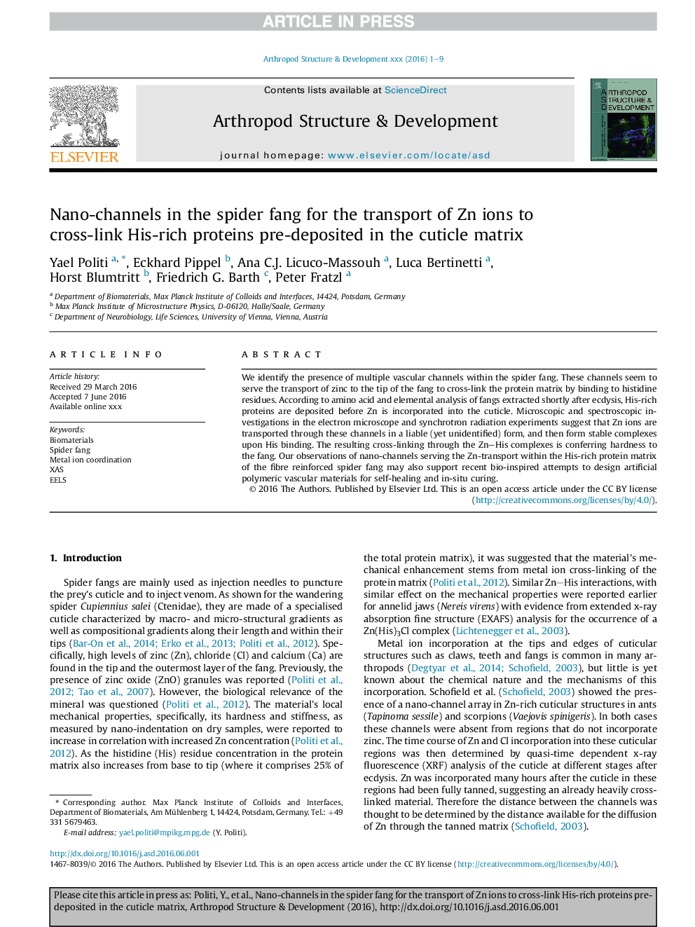 Nano-channels in the spider fang for the transport of Zn ions to cross-link His-rich proteins pre-deposited in the cuticle matrix