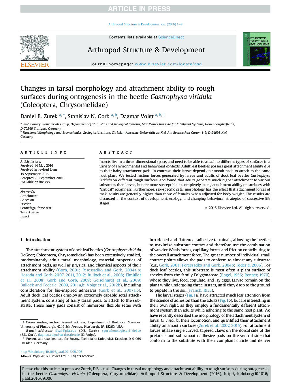 Changes in tarsal morphology and attachment ability to rough surfaces during ontogenesis in the beetle Gastrophysa viridula (Coleoptera, Chrysomelidae)
