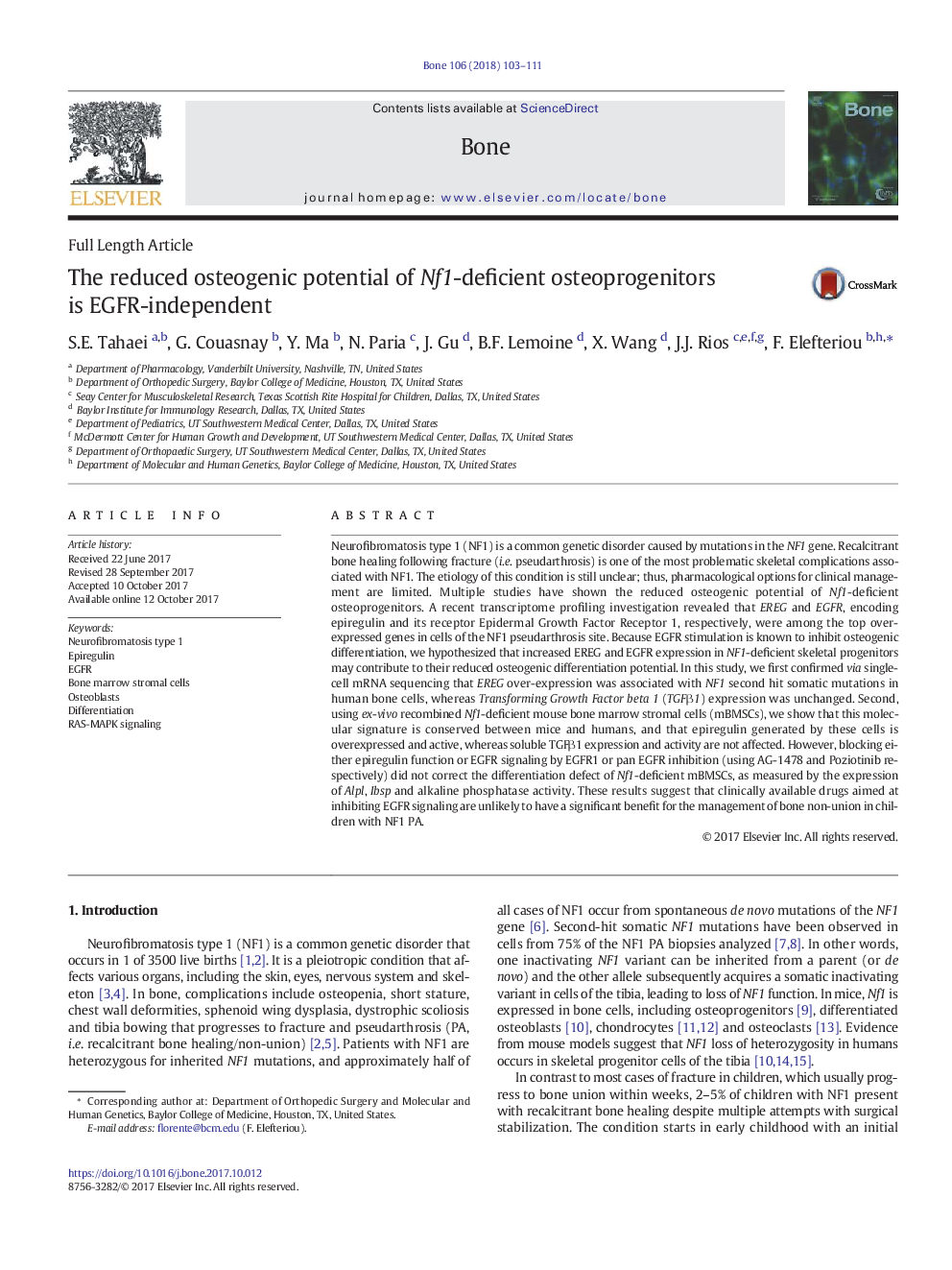 The reduced osteogenic potential of Nf1-deficient osteoprogenitors is EGFR-independent