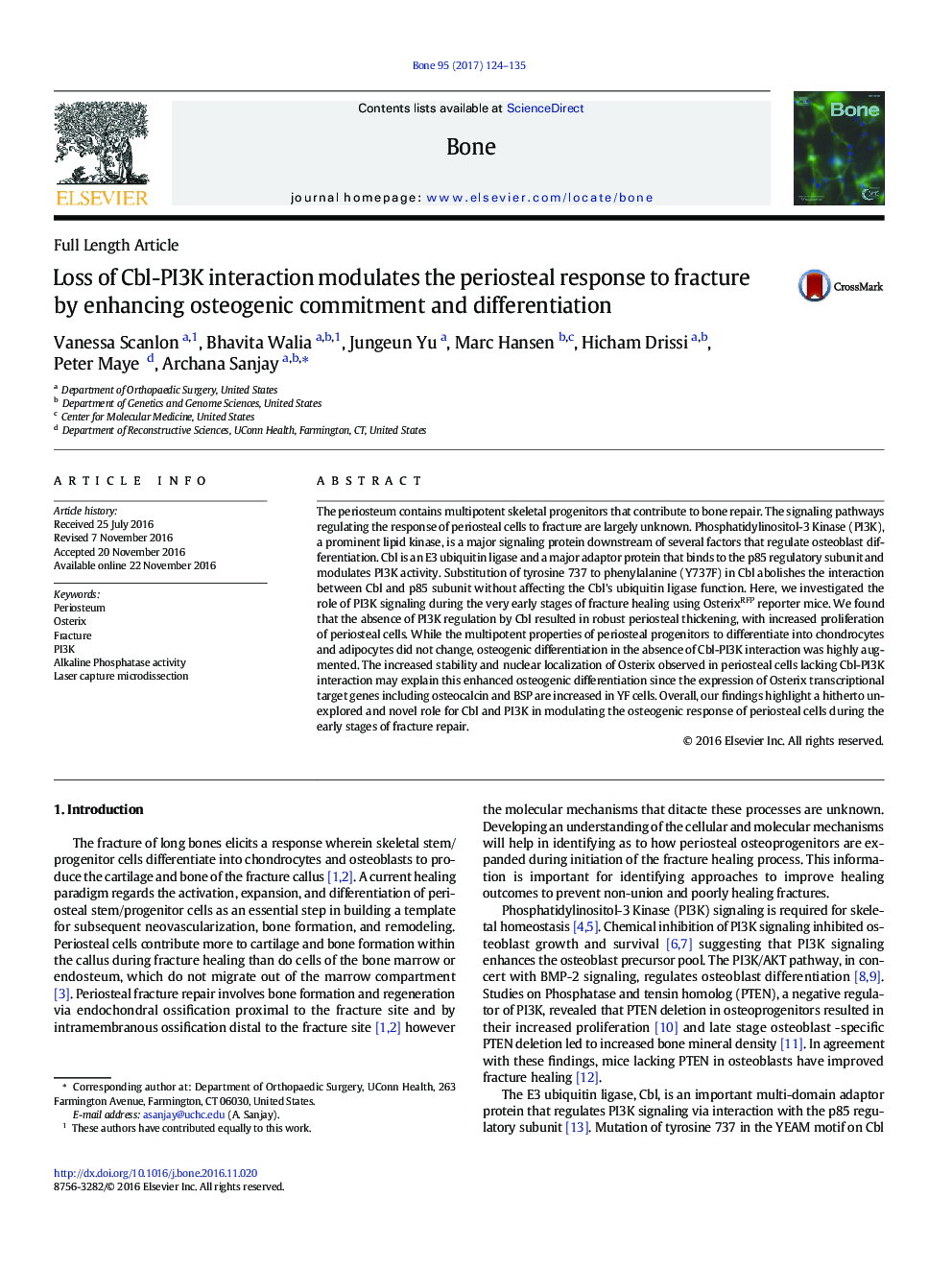 Loss of Cbl-PI3K interaction modulates the periosteal response to fracture by enhancing osteogenic commitment and differentiation