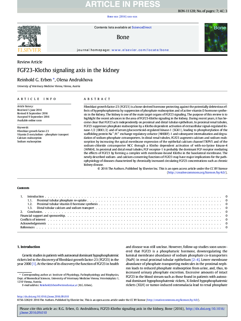 FGF23-Klotho signaling axis in the kidney