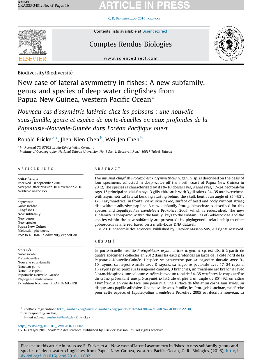 New case of lateral asymmetry in fishes: A new subfamily, genus and species of deep water clingfishes from Papua New Guinea, western Pacific Ocean