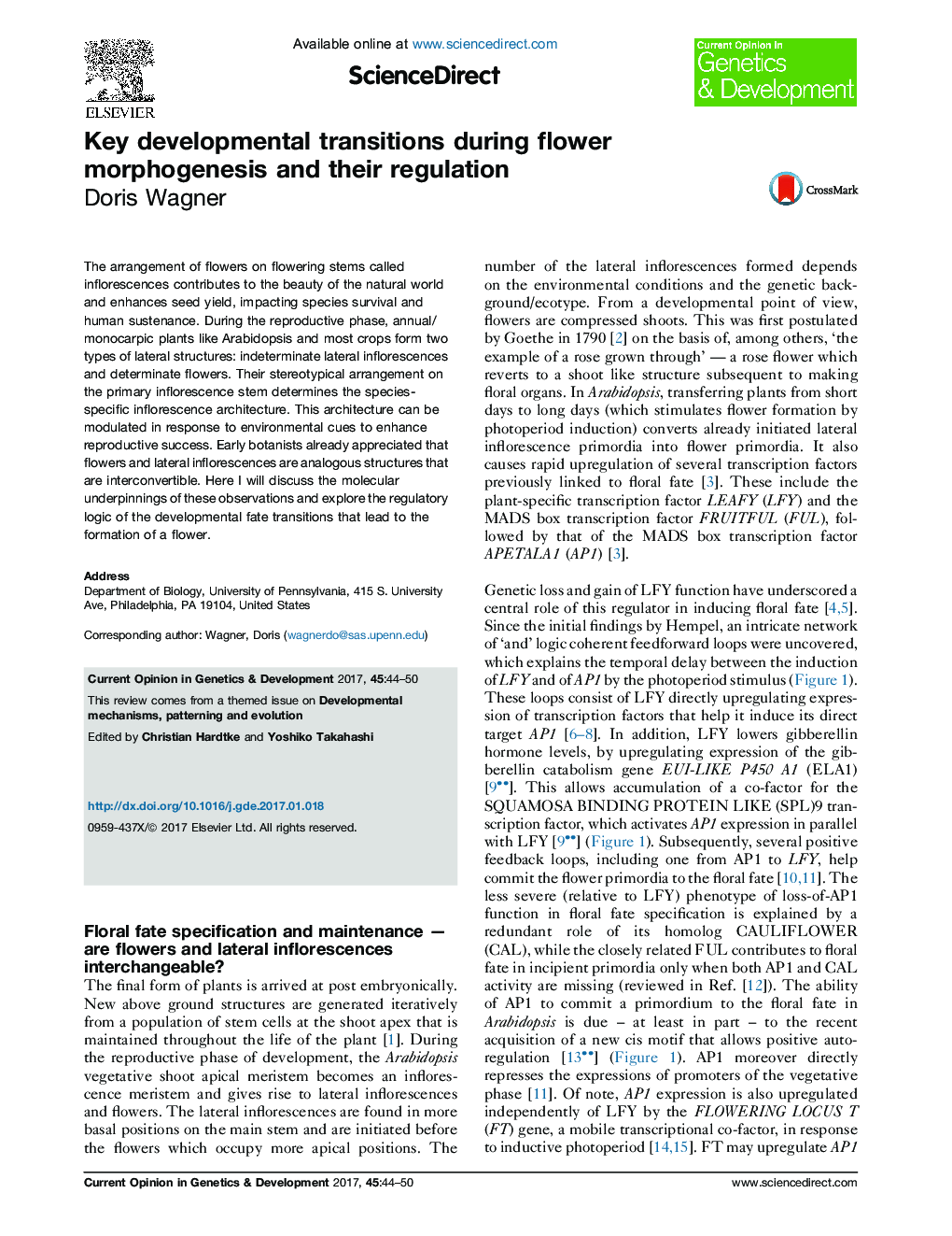Key developmental transitions during flower morphogenesis and their regulation
