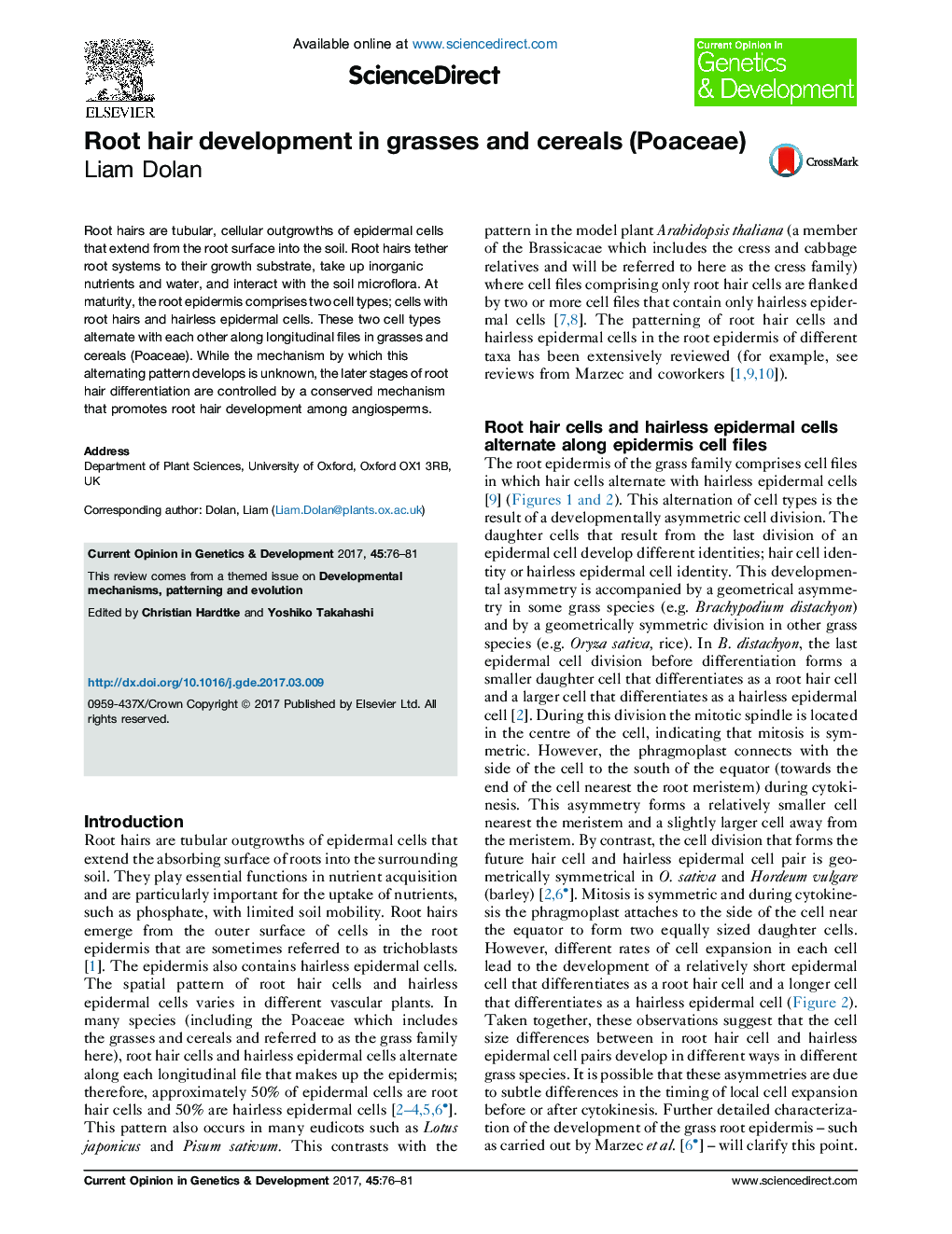 Root hair development in grasses and cereals (Poaceae)