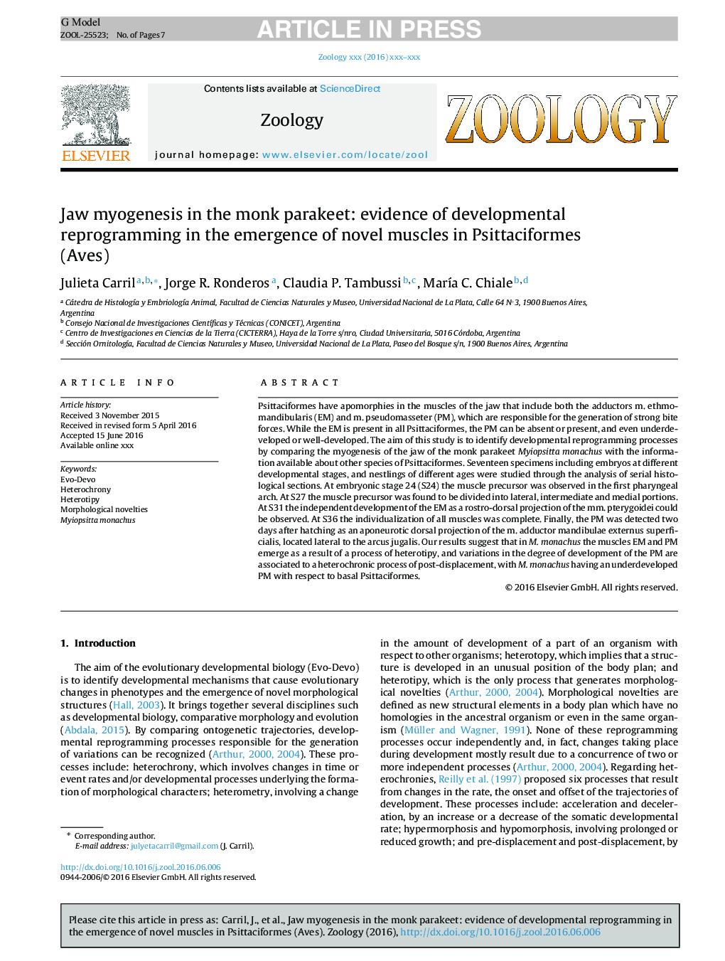Jaw myogenesis in the monk parakeet: evidence of developmental reprogramming in the emergence of novel muscles in Psittaciformes (Aves)