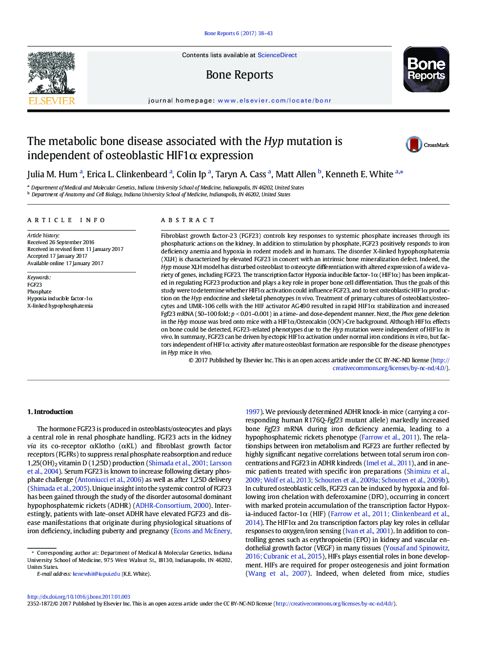 The metabolic bone disease associated with the Hyp mutation is independent of osteoblastic HIF1Î± expression