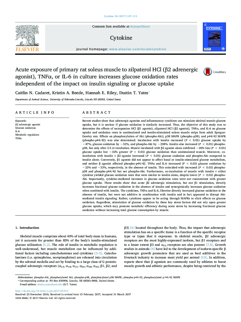 Acute exposure of primary rat soleus muscle to zilpaterol HCl (Î²2 adrenergic agonist), TNFÎ±, or IL-6 in culture increases glucose oxidation rates independent of the impact on insulin signaling or glucose uptake