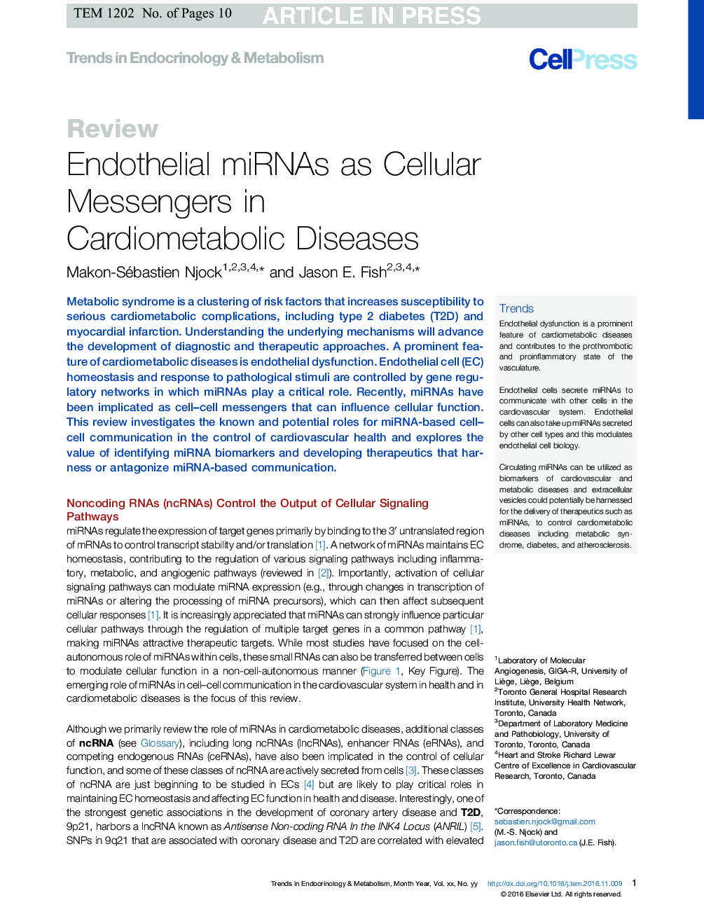 Endothelial miRNAs as Cellular Messengers in Cardiometabolic Diseases