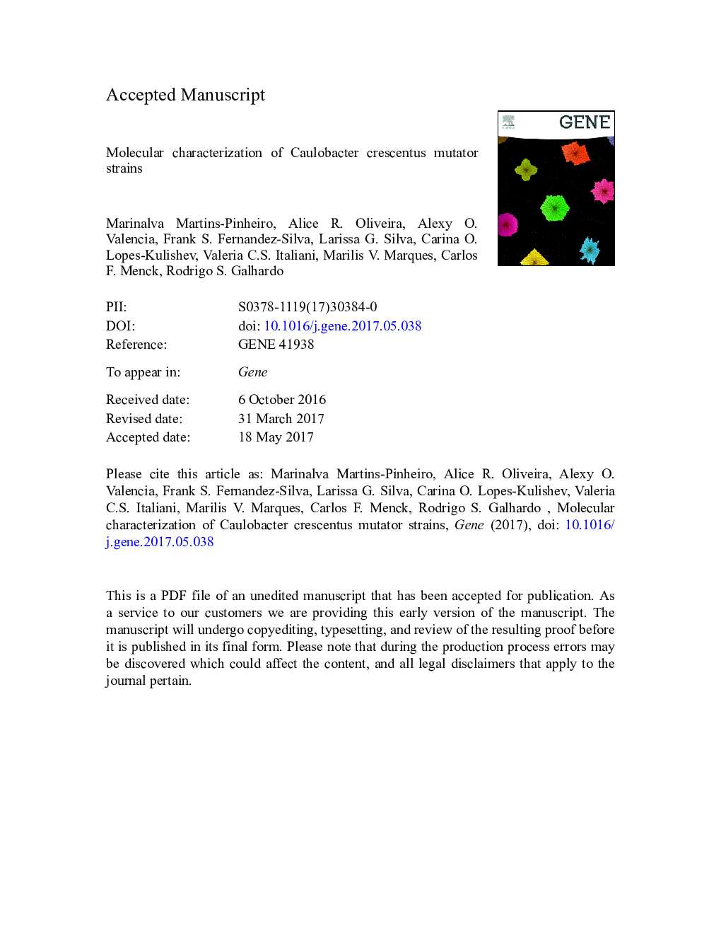 Molecular characterization of Caulobacter crescentus mutator strains