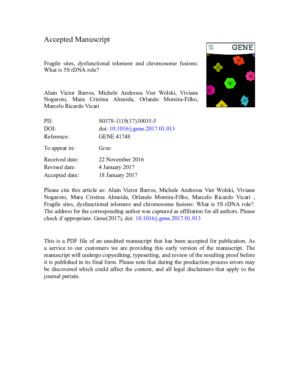 Fragile sites, dysfunctional telomere and chromosome fusions: What is 5S rDNA role?