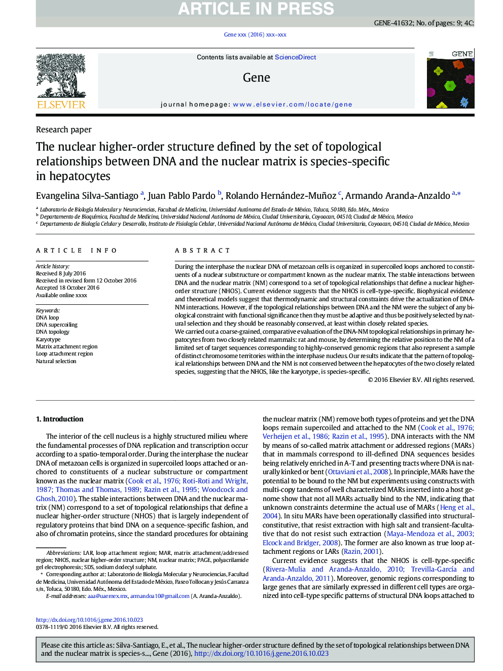 The nuclear higher-order structure defined by the set of topological relationships between DNA and the nuclear matrix is species-specific in hepatocytes