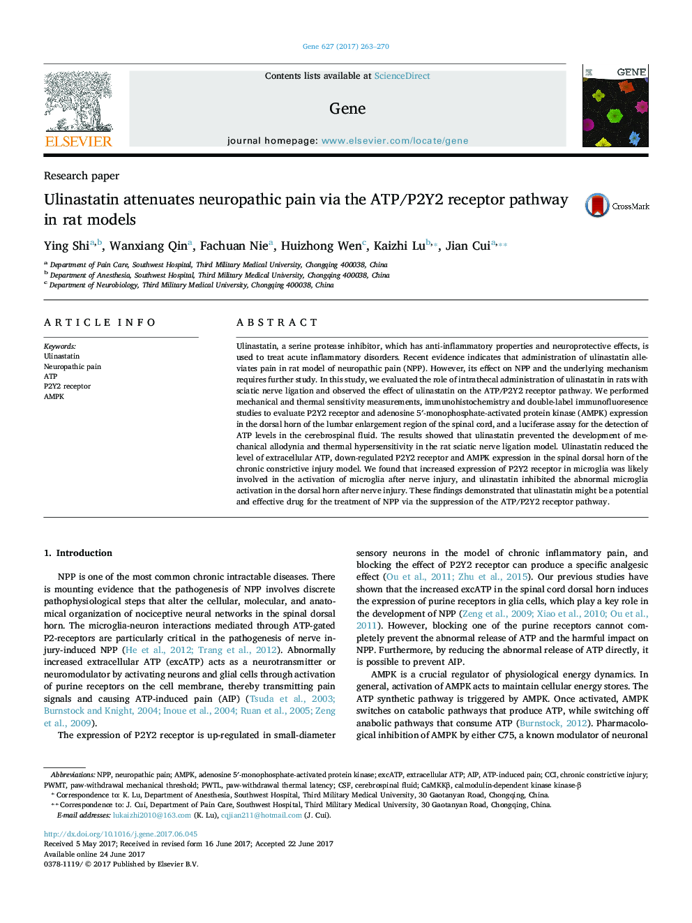 Ulinastatin attenuates neuropathic pain via the ATP/P2Y2 receptor pathway in rat models