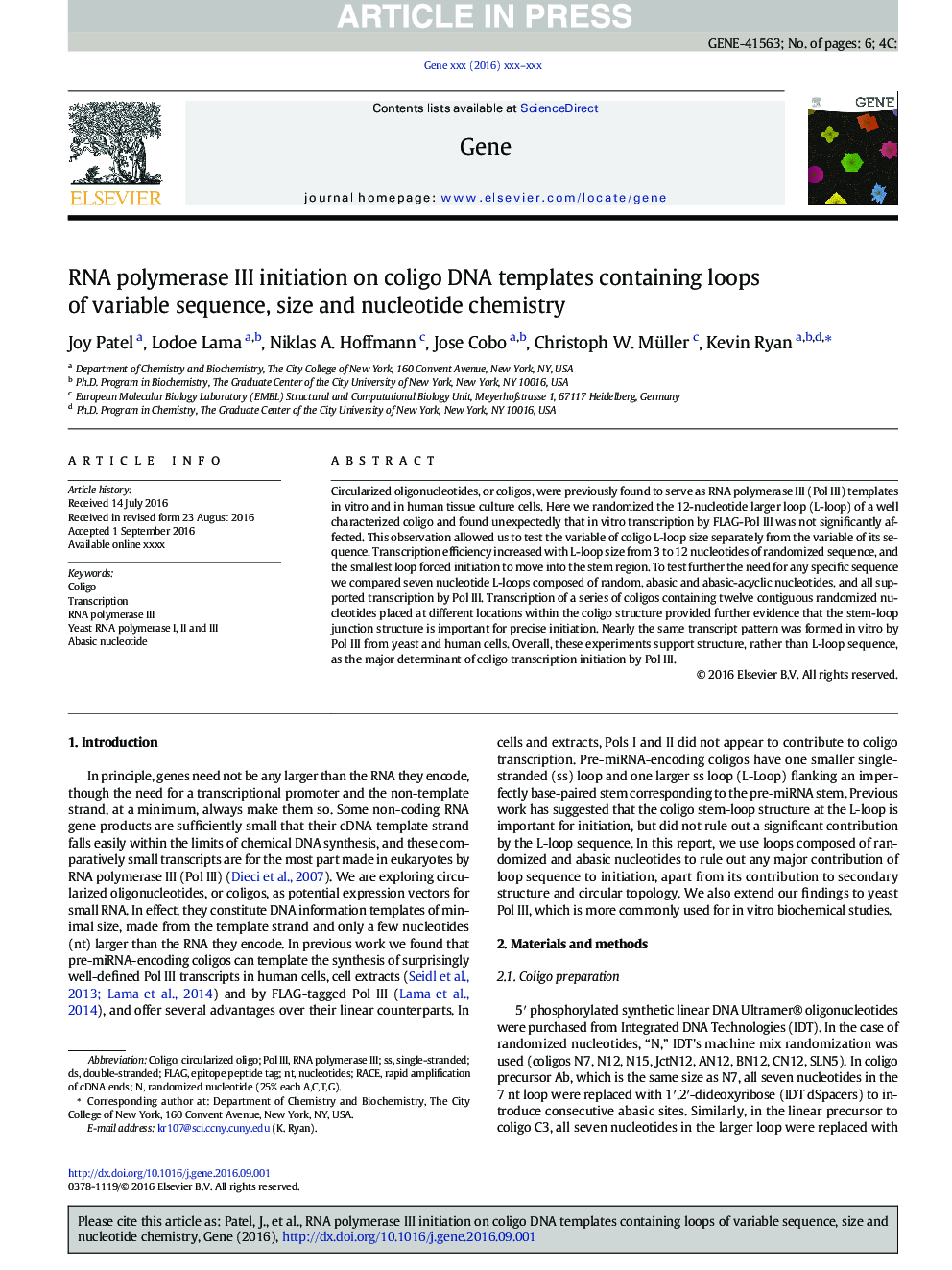 RNA polymerase III initiation on coligo DNA templates containing loops of variable sequence, size and nucleotide chemistry