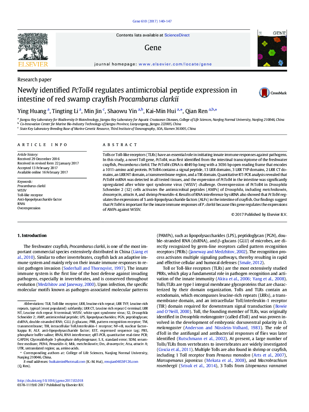 Newly identified PcToll4 regulates antimicrobial peptide expression in intestine of red swamp crayfish Procambarus clarkii