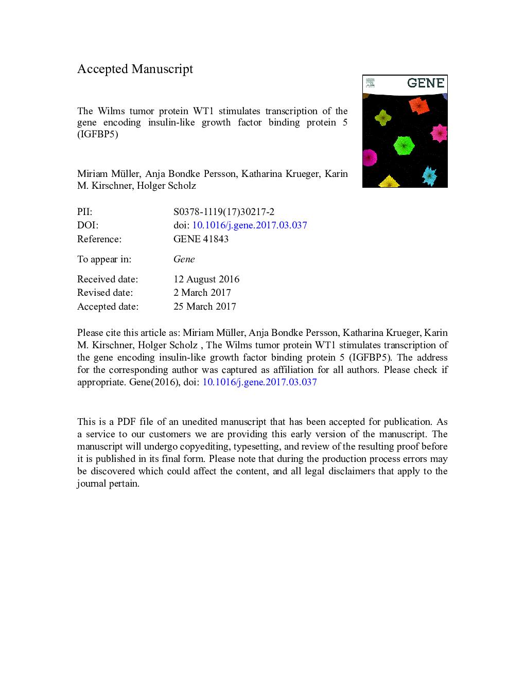 The Wilms tumor protein WT1 stimulates transcription of the gene encoding insulin-like growth factor binding protein 5 (IGFBP5)