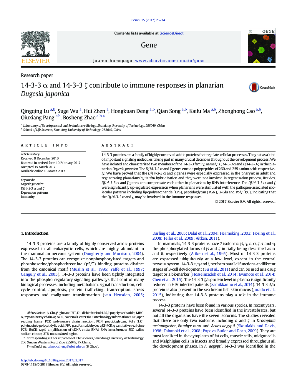 Research paper14-3-3 Î± and 14-3-3 Î¶ contribute to immune responses in planarian Dugesia japonica