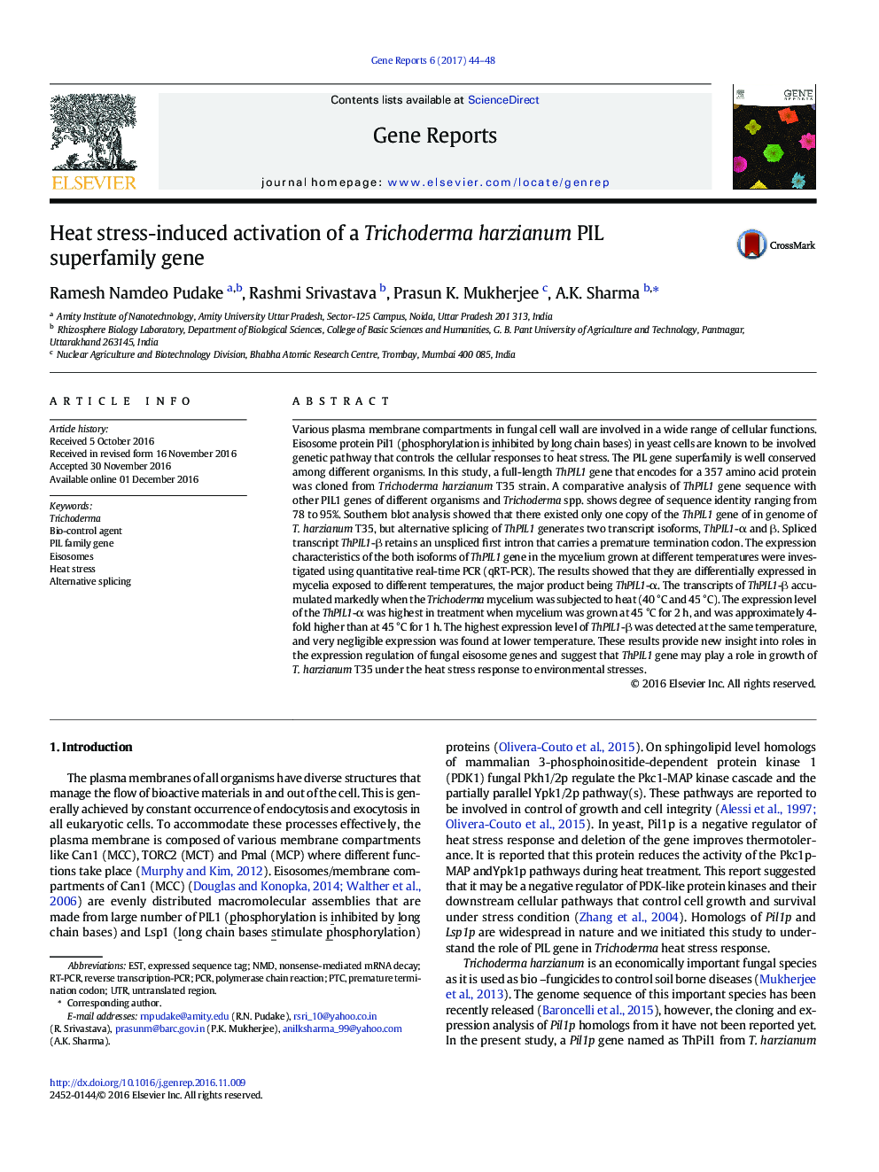 Heat stress-induced activation of a Trichoderma harzianum PIL superfamily gene