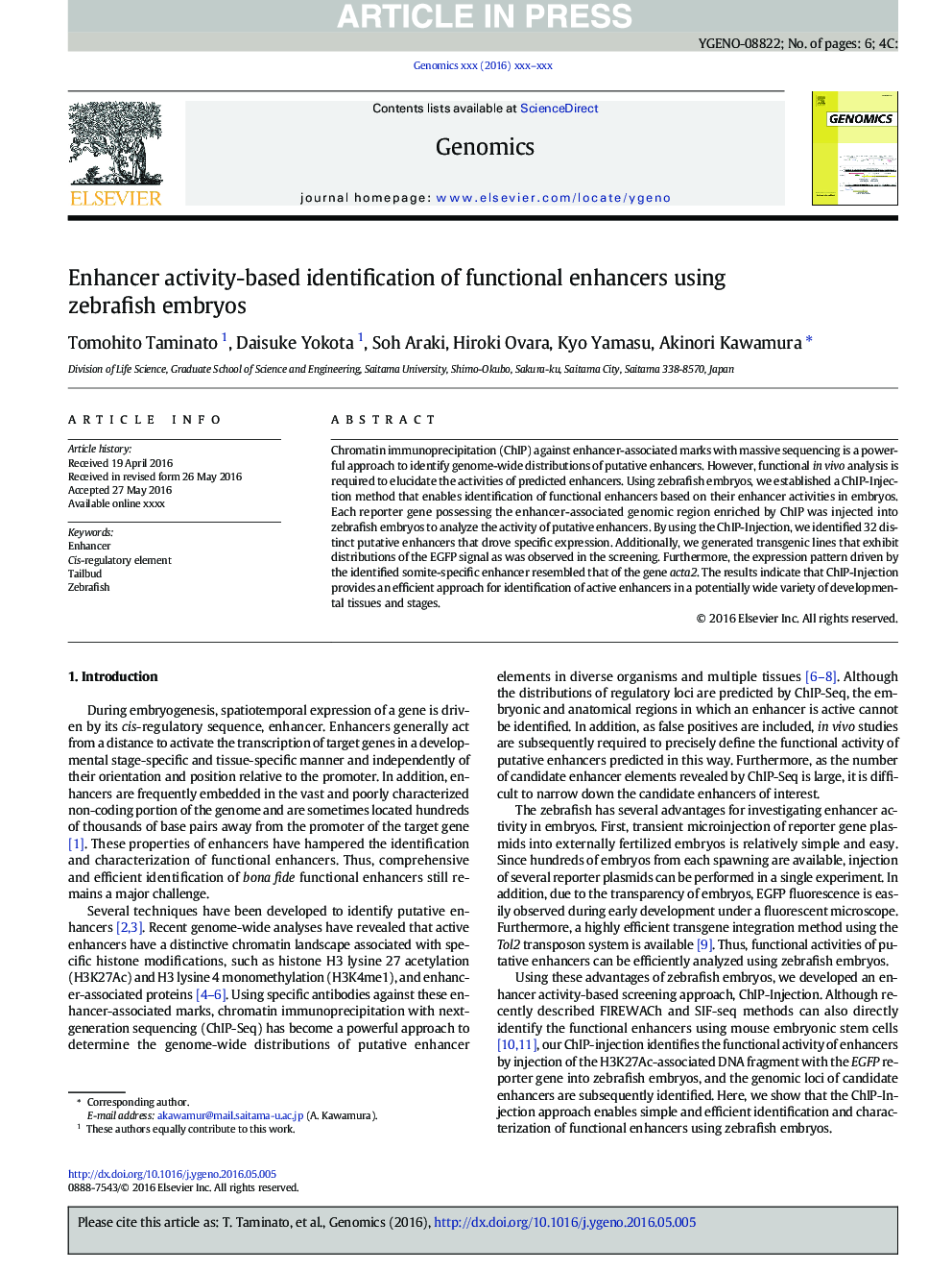 Enhancer activity-based identification of functional enhancers using zebrafish embryos