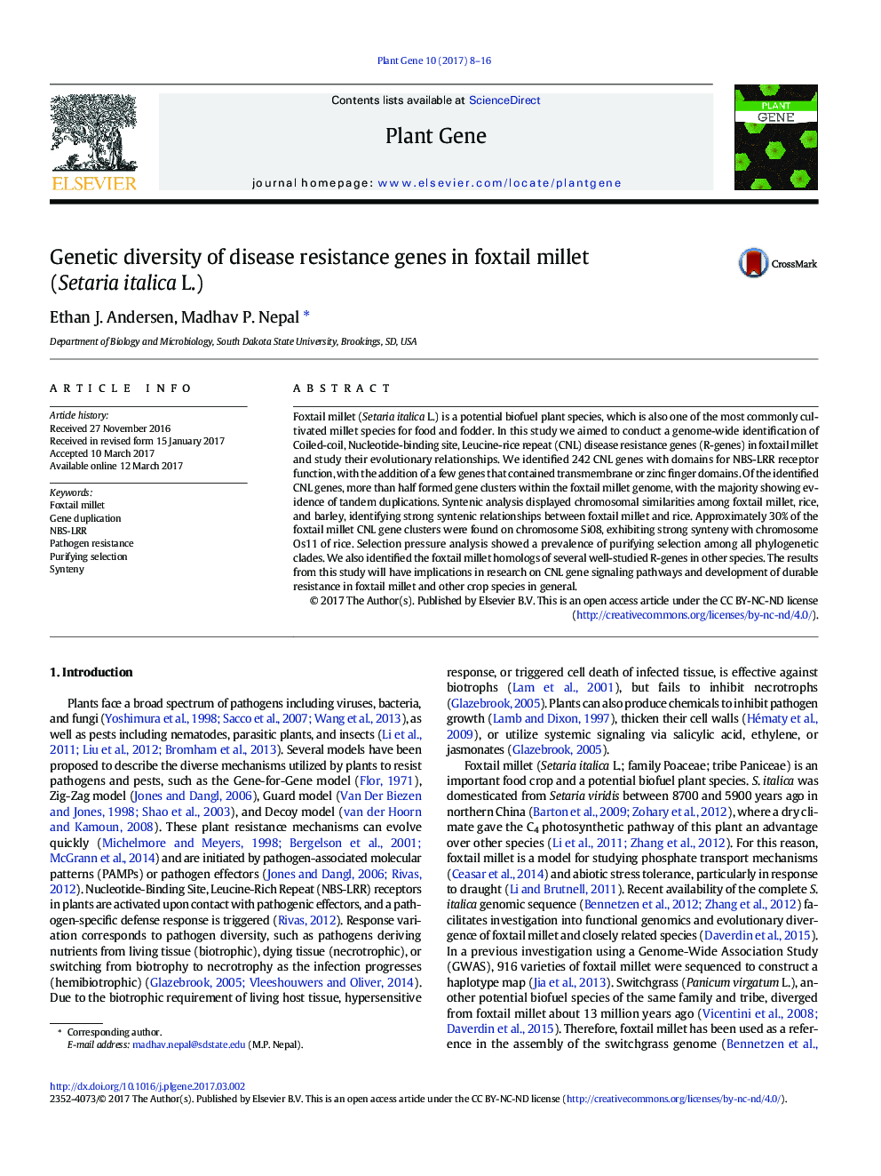 Genetic diversity of disease resistance genes in foxtail millet (Setaria italica L.)