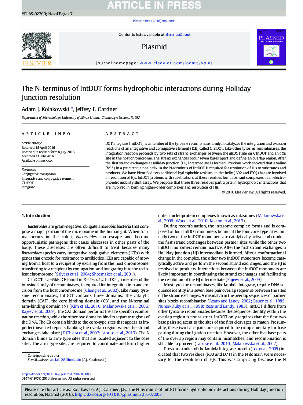 The N-terminus of IntDOT forms hydrophobic interactions during Holliday Junction resolution