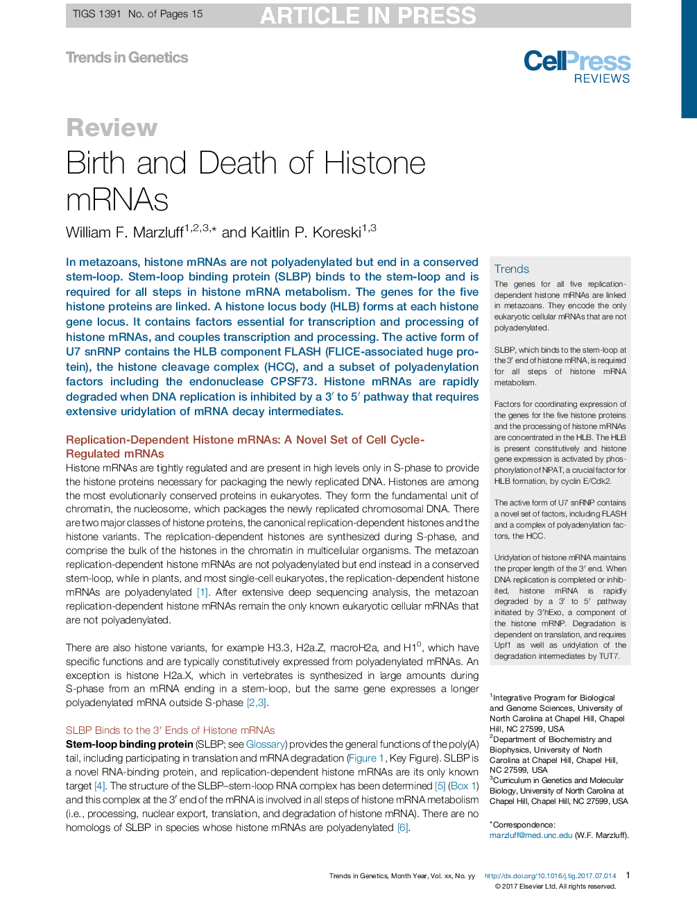 Birth and Death of Histone mRNAs