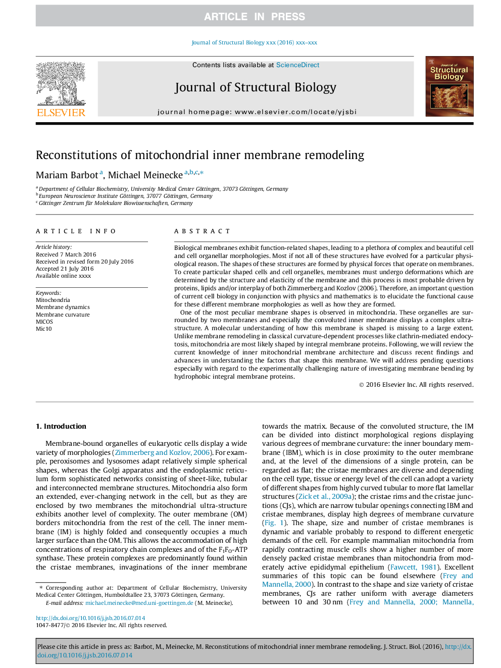 Reconstitutions of mitochondrial inner membrane remodeling