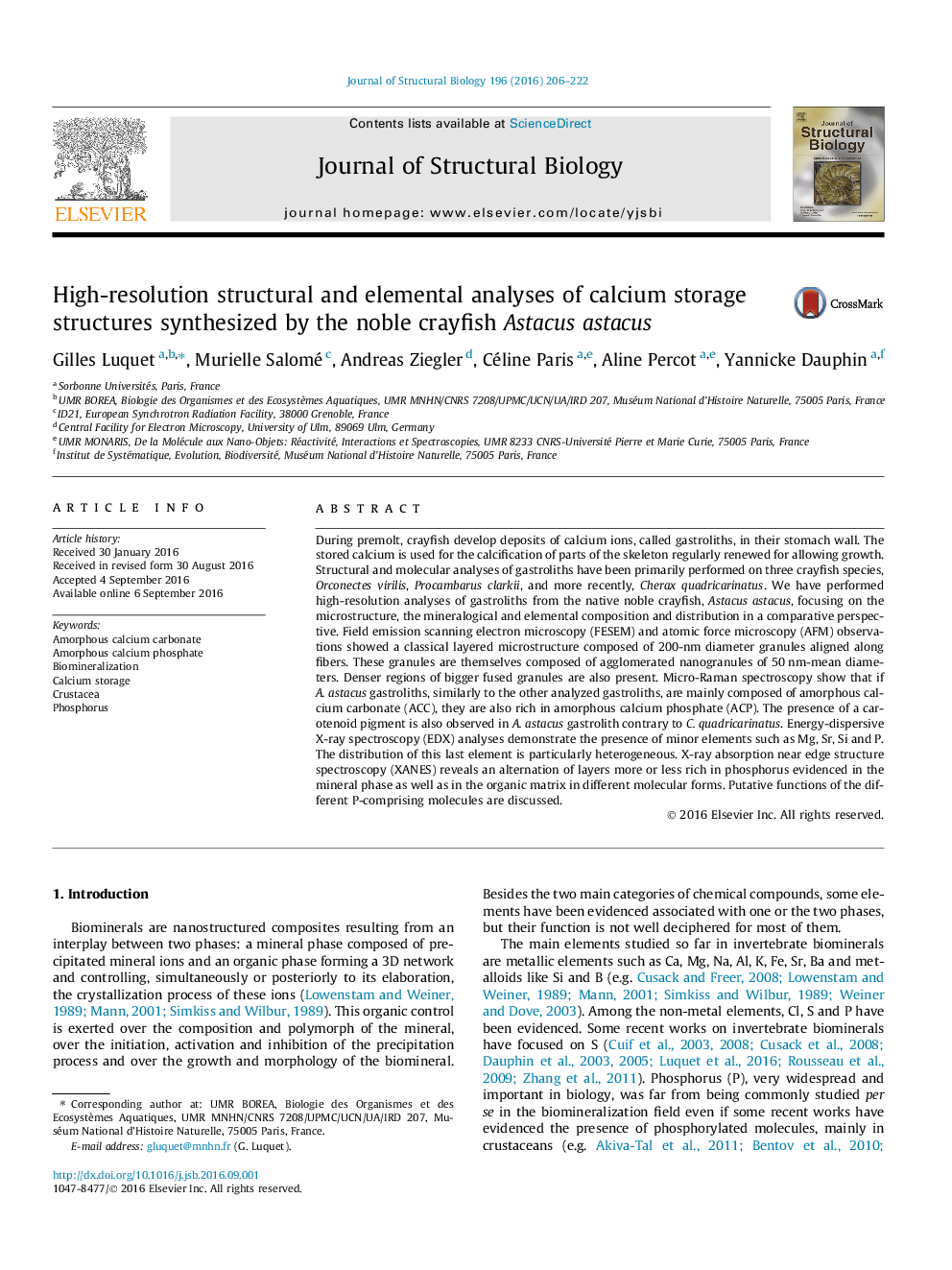 High-resolution structural and elemental analyses of calcium storage structures synthesized by the noble crayfish Astacus astacus