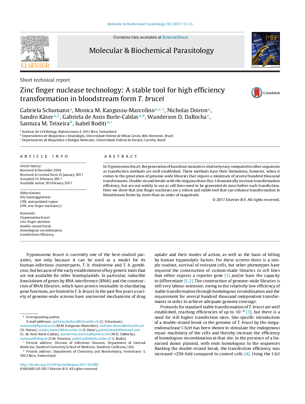 Zinc finger nuclease technology: A stable tool for high efficiency transformation in bloodstream form T. brucei