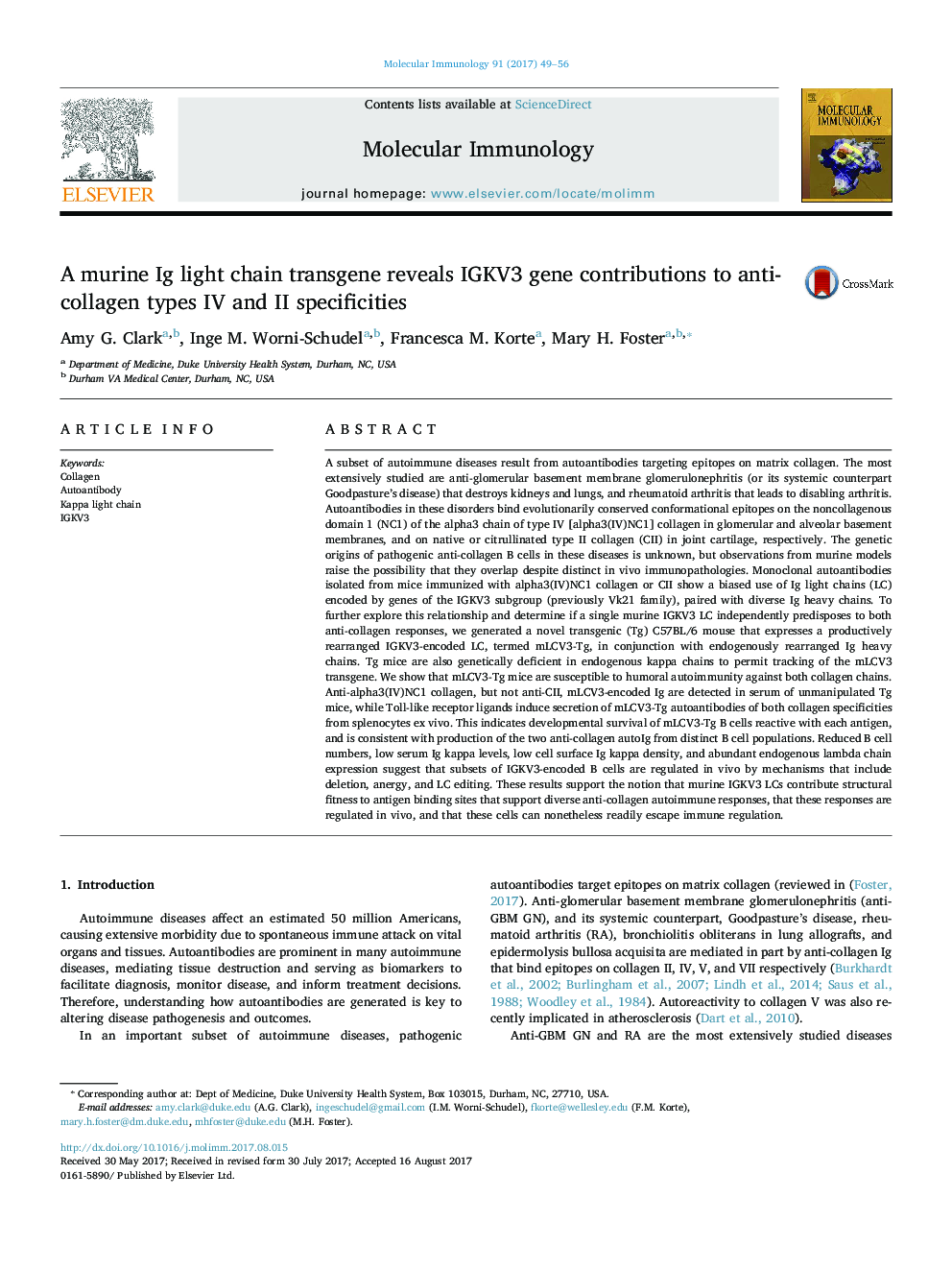 A murine Ig light chain transgene reveals IGKV3 gene contributions to anti-collagen types IV and II specificities