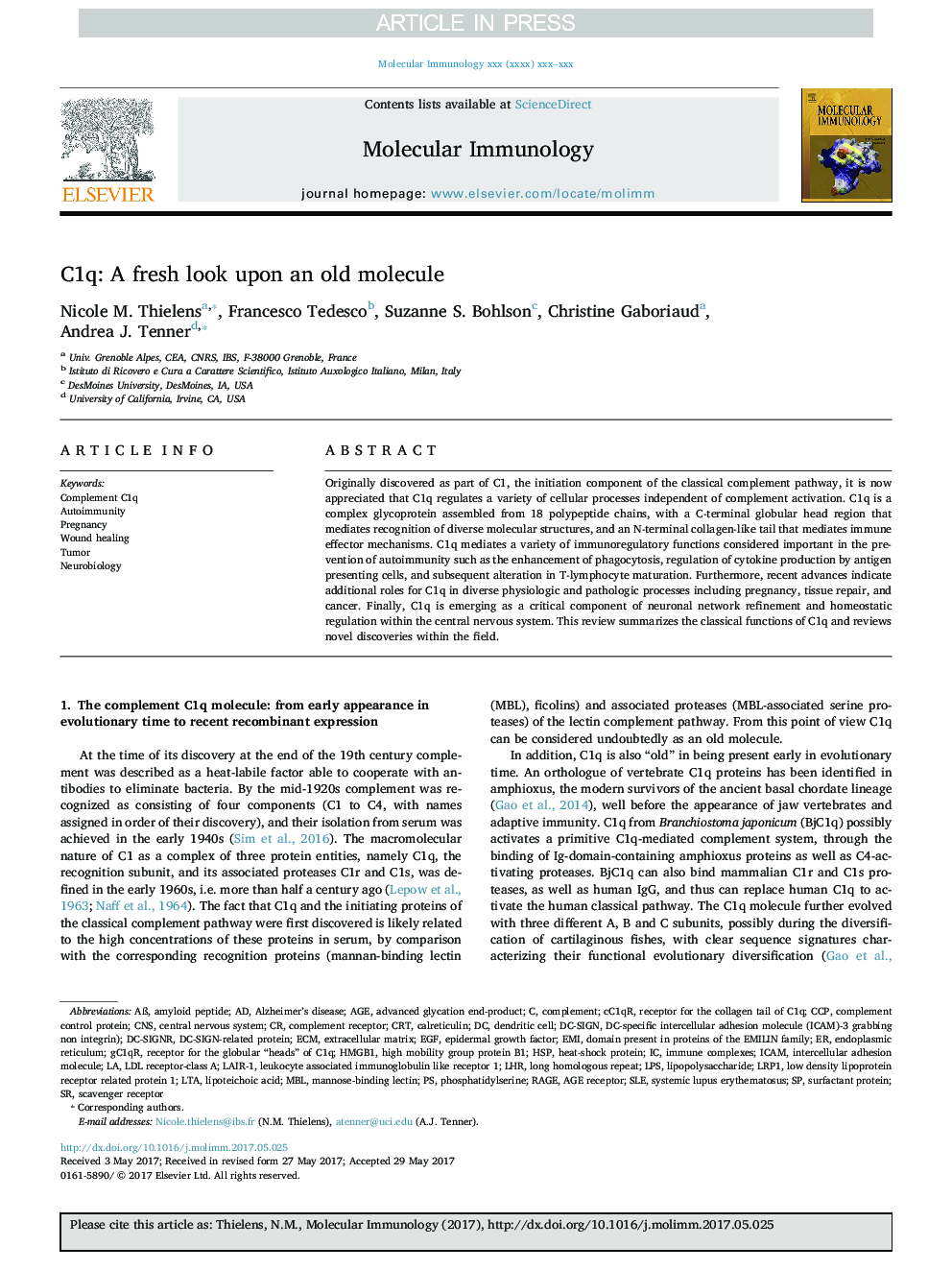 C1q: A fresh look upon an old molecule