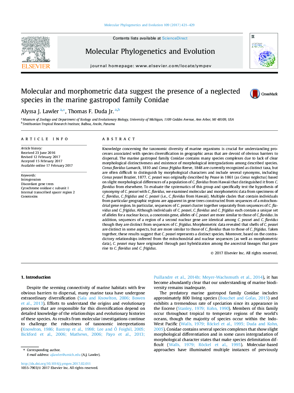 Molecular and morphometric data suggest the presence of a neglected species in the marine gastropod family Conidae