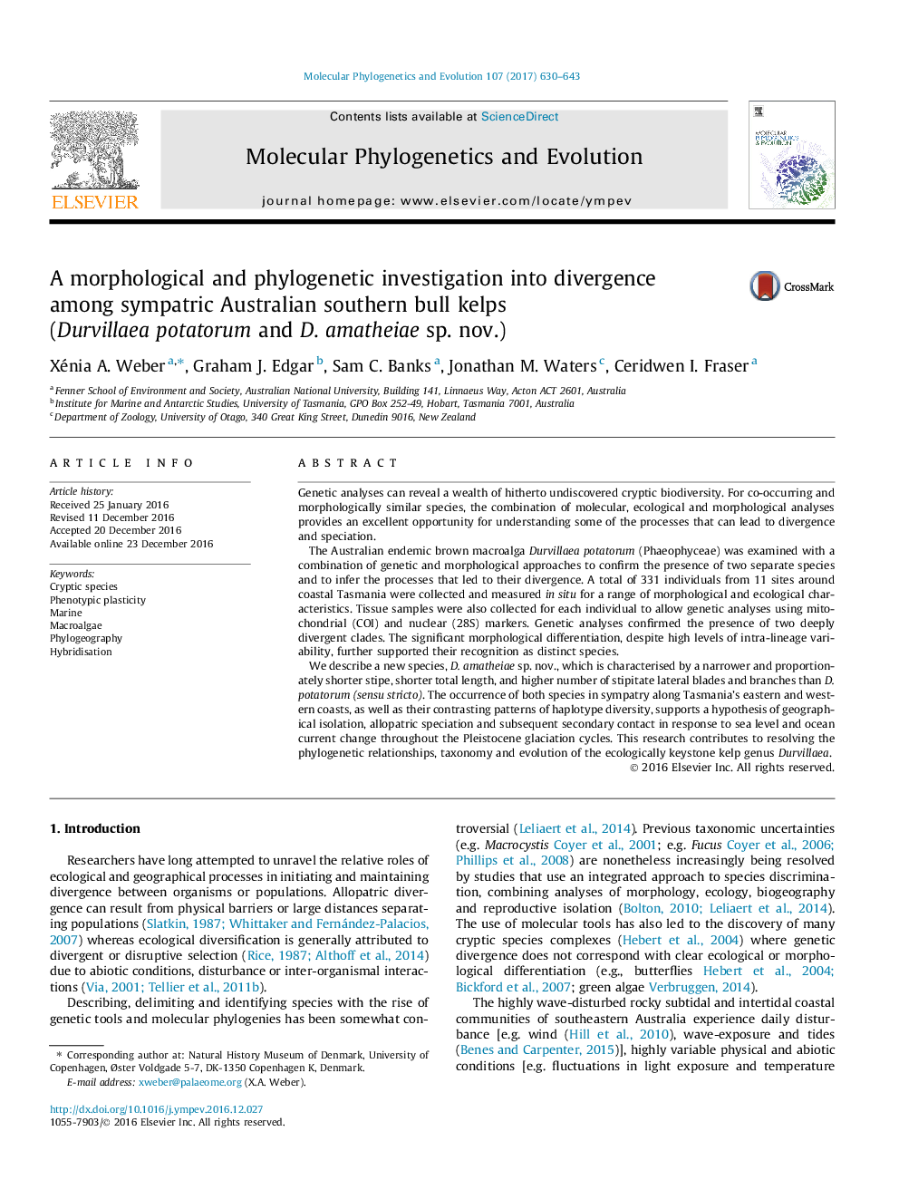 A morphological and phylogenetic investigation into divergence among sympatric Australian southern bull kelps (Durvillaea potatorum and D. amatheiae sp. nov.)