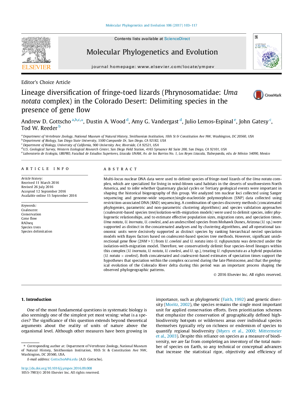 Lineage diversification of fringe-toed lizards (Phrynosomatidae: Uma notata complex) in the Colorado Desert: Delimiting species in the presence of gene flow