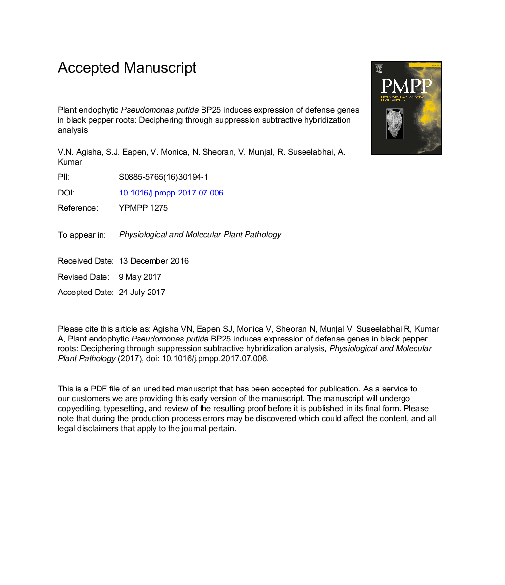 Plant endophytic Pseudomonas putida BP25 induces expression of defense genes in black pepper roots: Deciphering through suppression subtractive hybridization analysis