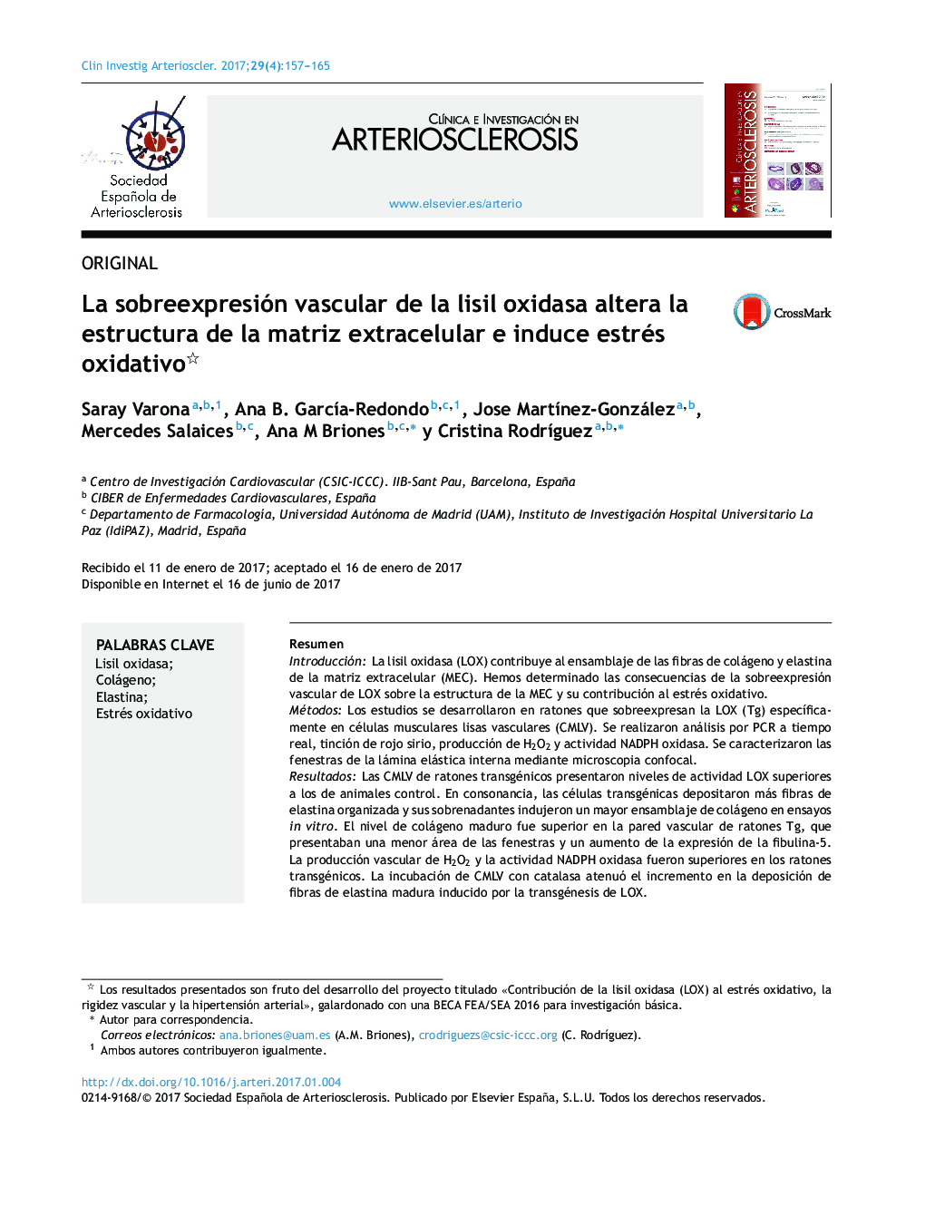 La sobreexpresión vascular de la lisil oxidasa altera la estructura de la matriz extracelular e induce estrés oxidativo