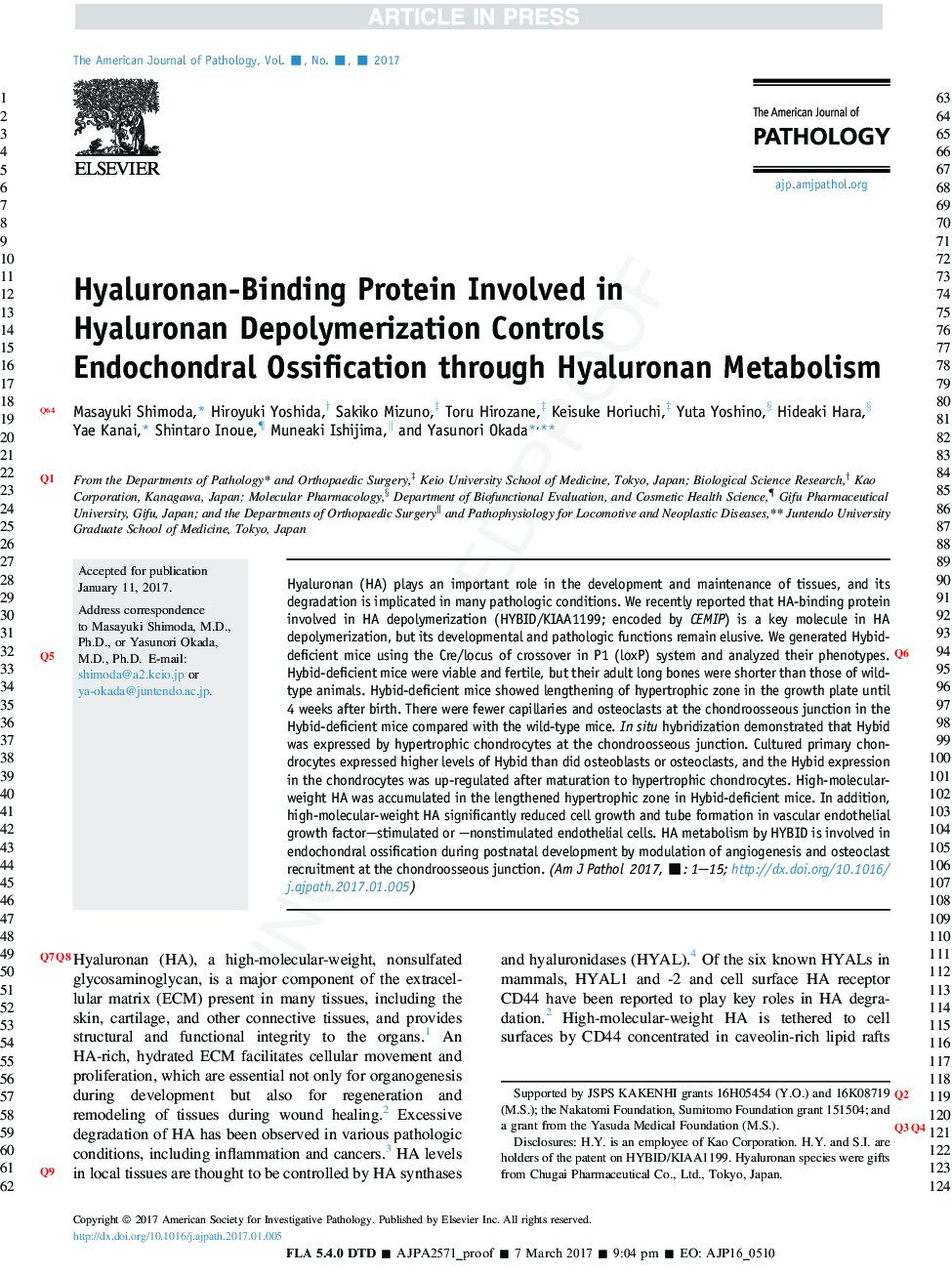 Hyaluronan-Binding Protein Involved in Hyaluronan Depolymerization Controls Endochondral Ossification through Hyaluronan Metabolism