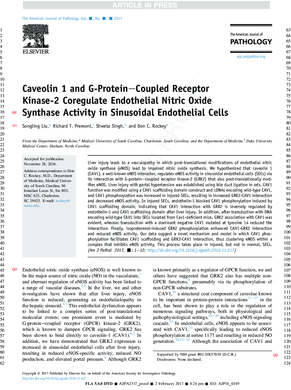Caveolin 1 and G-Protein-Coupled Receptor Kinase-2 Coregulate Endothelial Nitric Oxide Synthase Activity in Sinusoidal Endothelial Cells