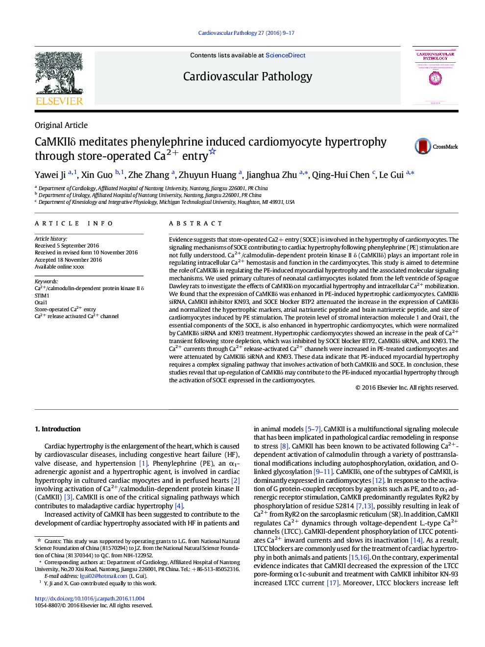 CaMKIIÎ´ meditates phenylephrine induced cardiomyocyte hypertrophy through store-operated Ca2+ entry