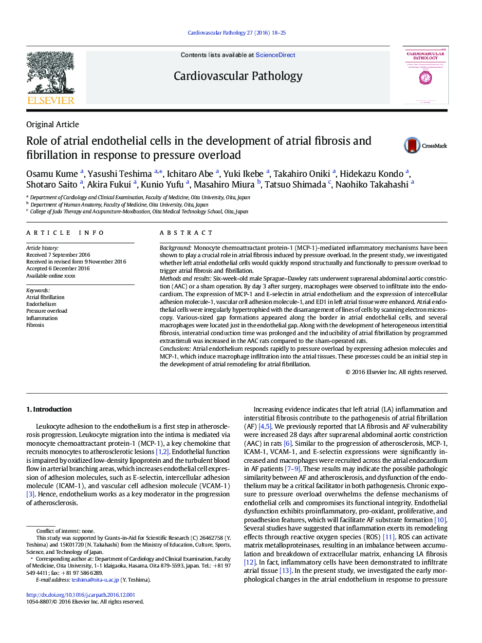 Role of atrial endothelial cells in the development of atrial fibrosis and fibrillation in response to pressure overload