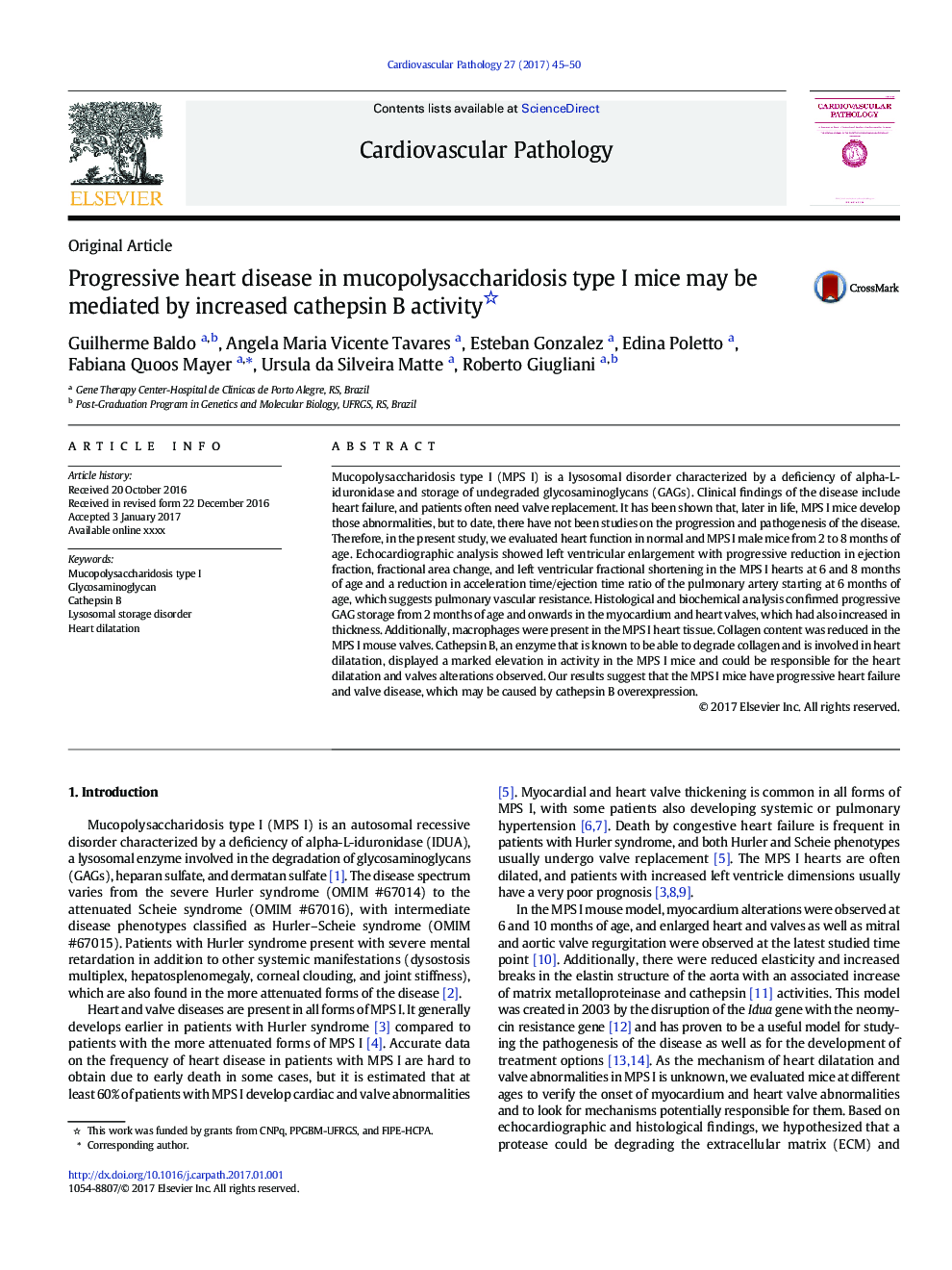 Progressive heart disease in mucopolysaccharidosis type I mice may be mediated by increased cathepsin B activity