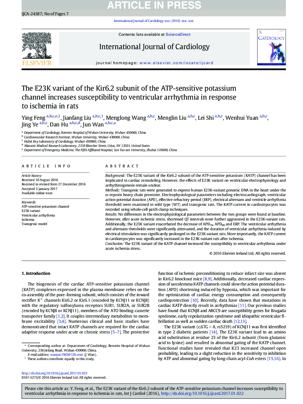 The E23K variant of the Kir6.2 subunit of the ATP-sensitive potassium channel increases susceptibility to ventricular arrhythmia in response to ischemia in rats